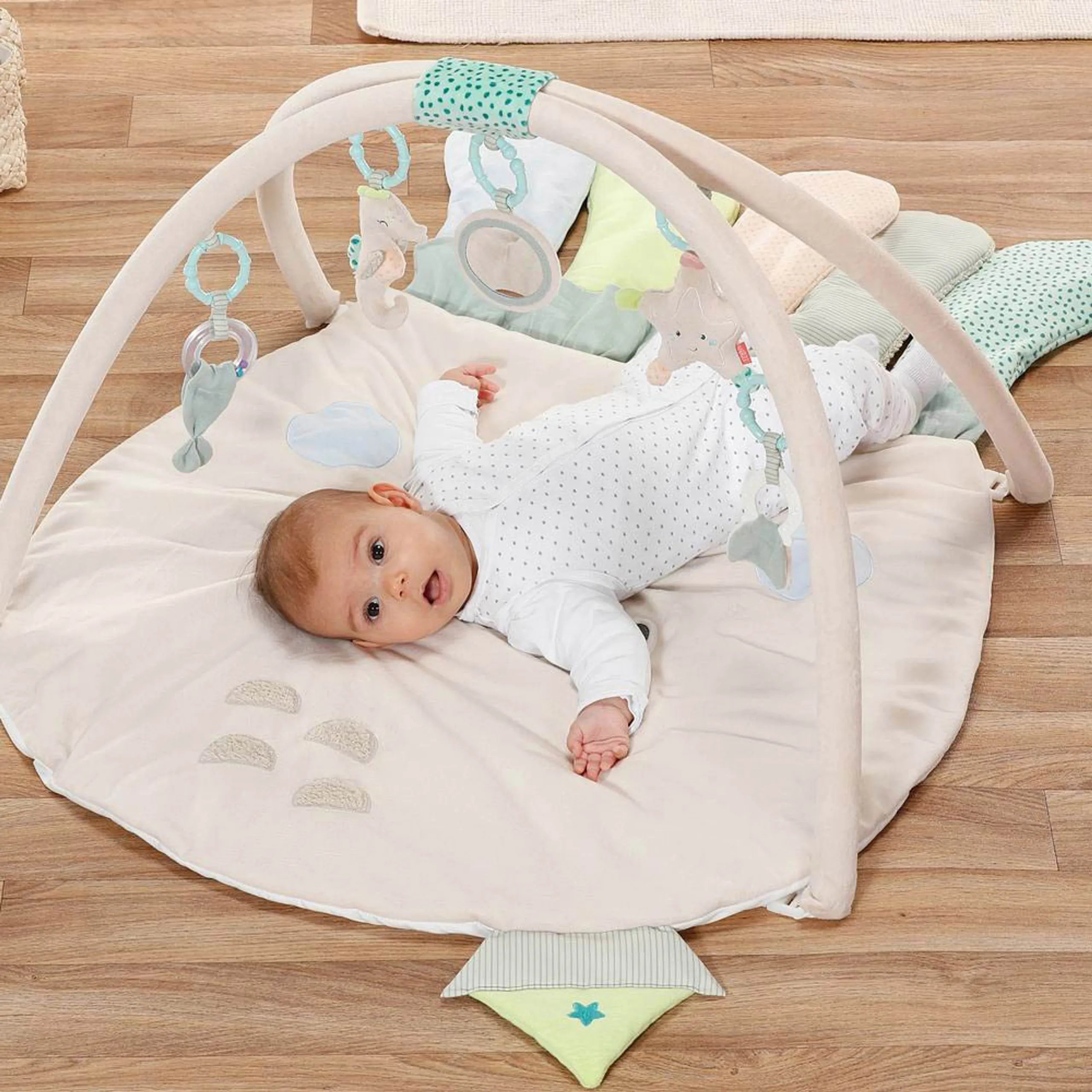 3D Activity Gym - Octopus