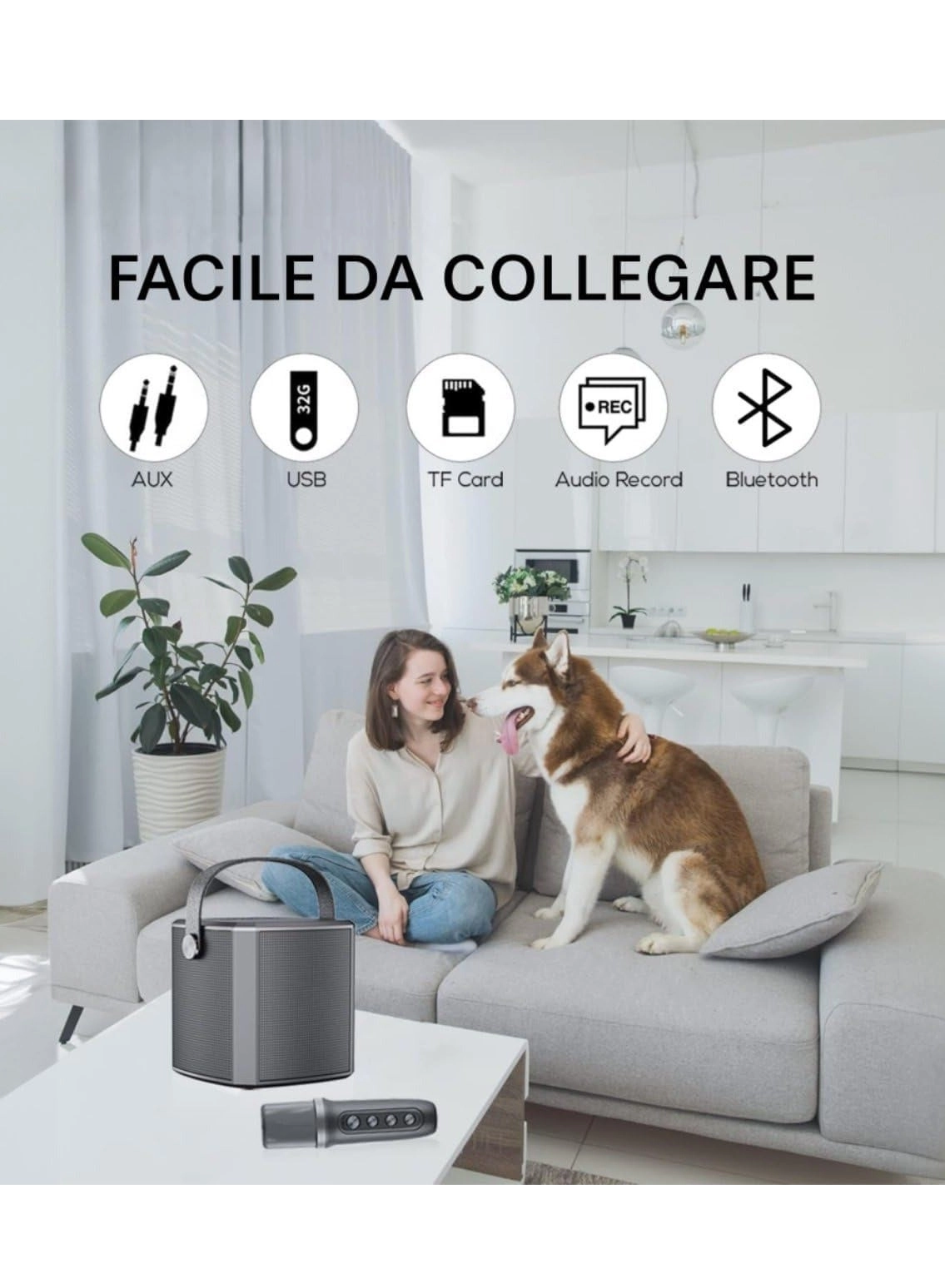 Portable Bluetooth Karaoke Speaker - Rechargeable wireless microphone Type-C charging TF Card support