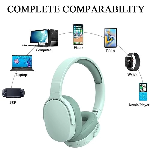p2961 Wireless Headphone