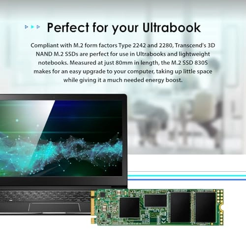 TS256GMTS830S - 256 GB M.2