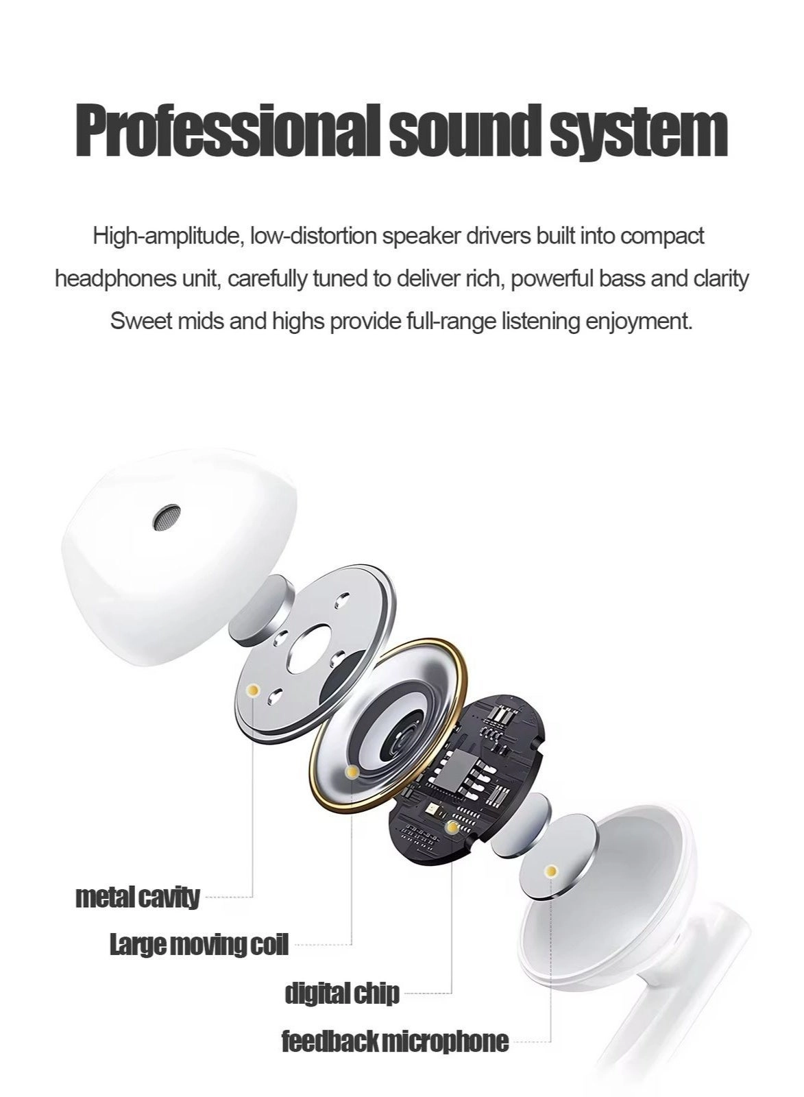 Wired Earphones