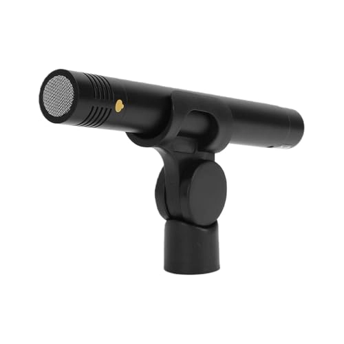 POENVFPOmuw10r6vhl XLR Microphone