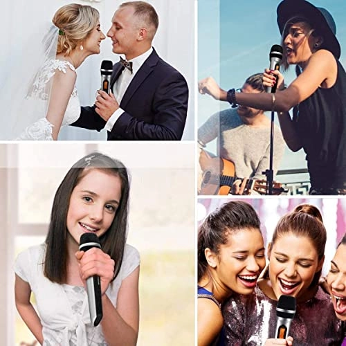 Dual UHF Dynamic Handheld Wireless Microphone