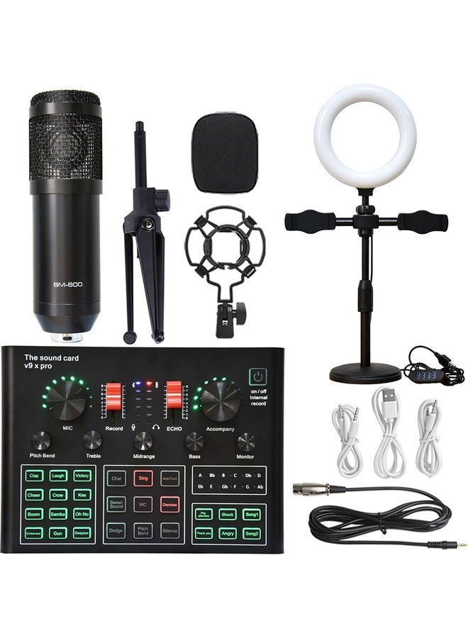 BM-800 + Live Sound Card Wired Microphone