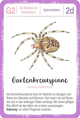 Expedition Natur Quartett Minimonster - Kid