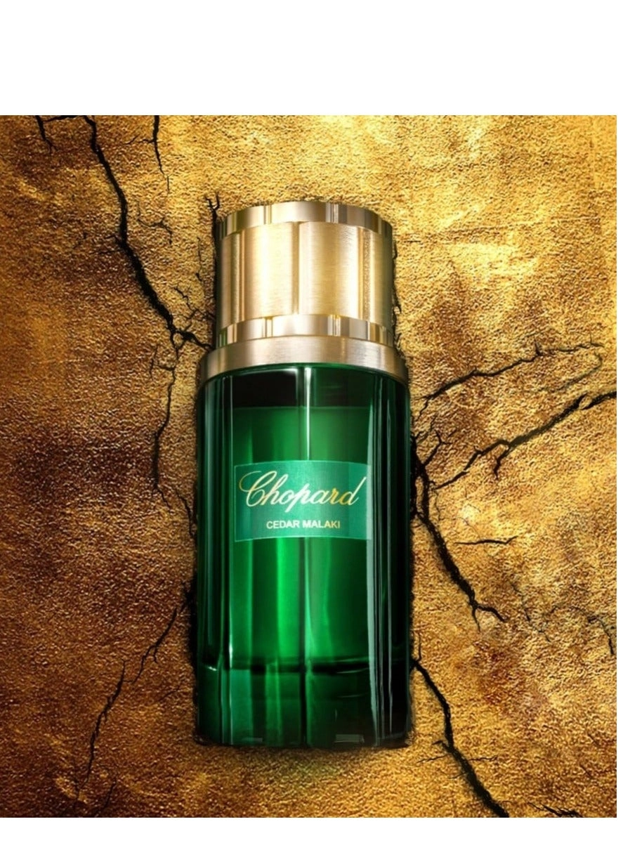 Cedar Malaki Eau de Parfum 80ml