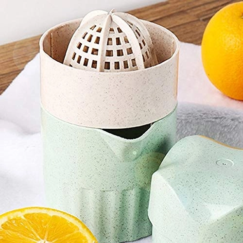 Mini Juicer - 300W 500ml