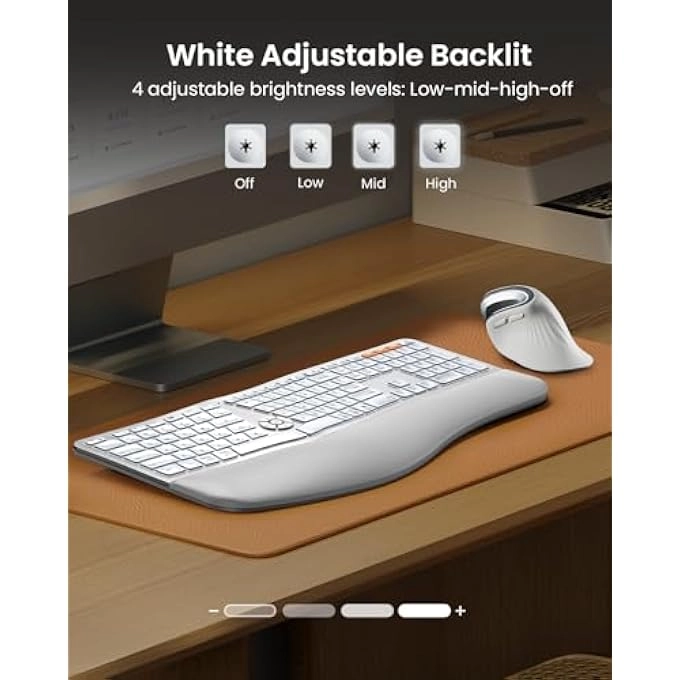 EK01 PLUS - Wireless