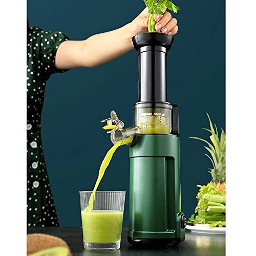 Masticating Juicer - 150 Watts 1500 Milliliters