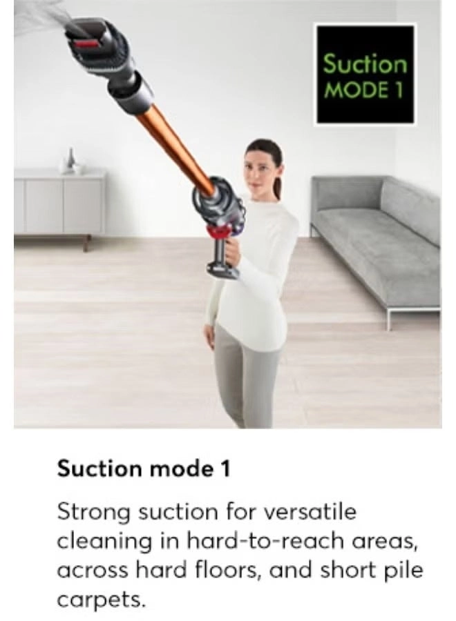 Cyclone V10 Absolute - Handheld Cordless Soft Roller