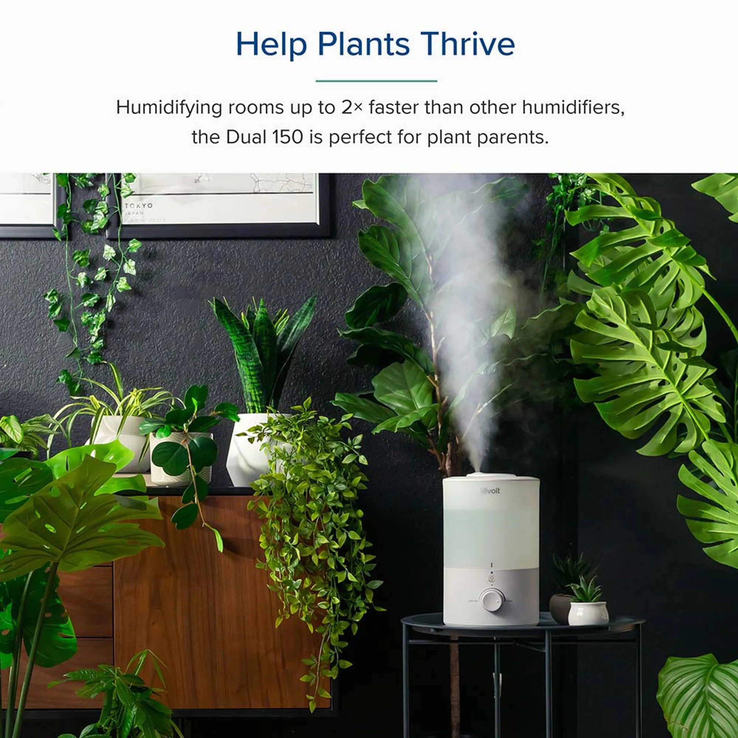 Bedroom Humidifier - 3L