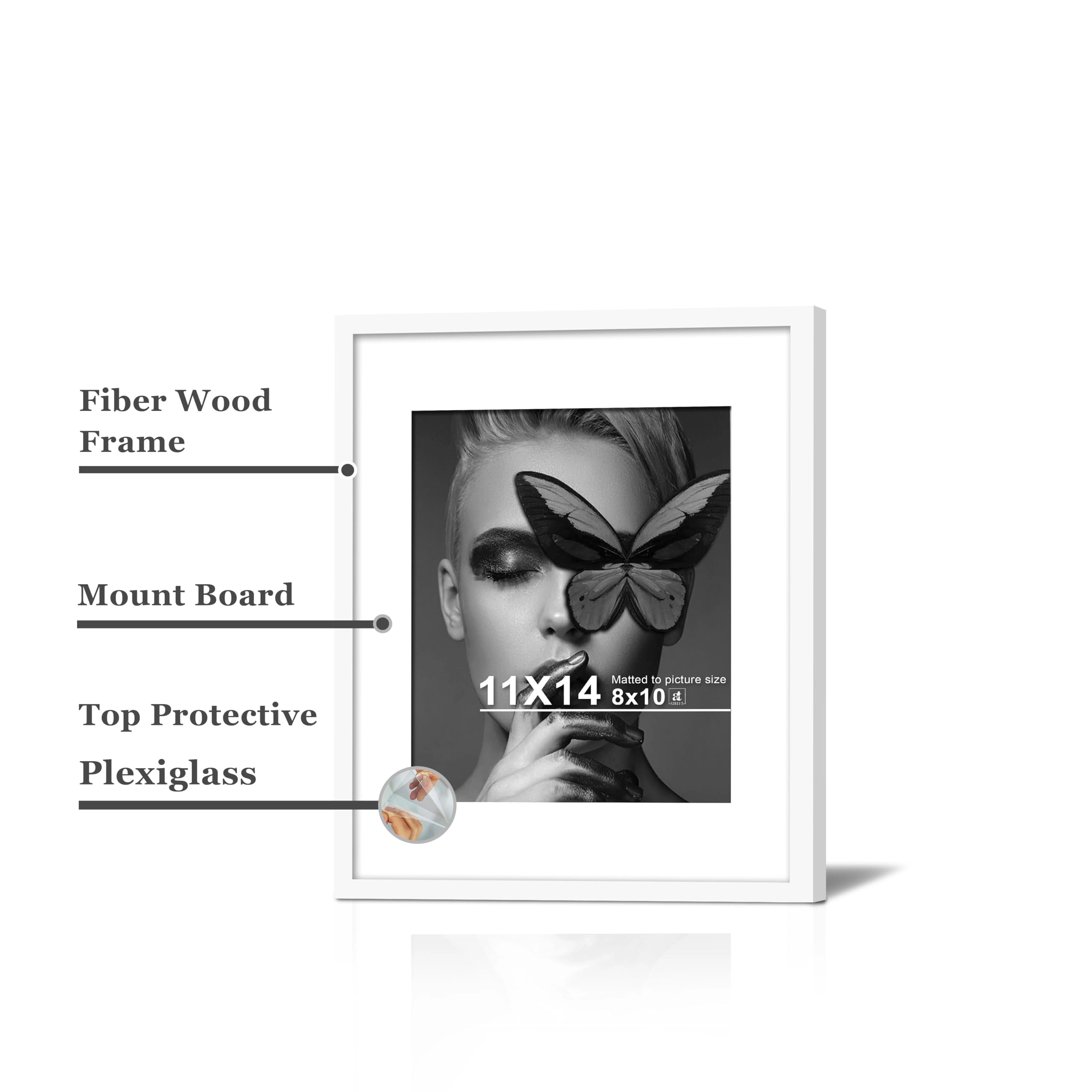 Document Frame - 11x14 Inch