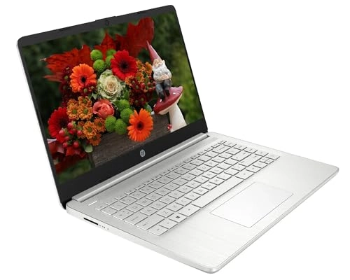 14-dq0052dx - 14'' Celeron N4120 16GB DDR4 128GB SSD