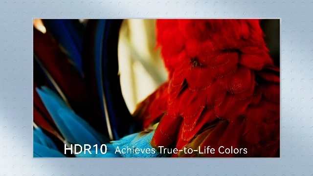 Mozart 1 Pro B0FMNR59V2 1200 ANSI lumens