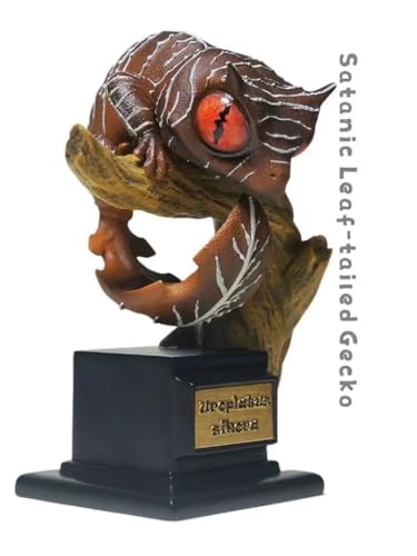 Gecko - Nephrurus Wheeleri Wheeleri (BWZ-SG)