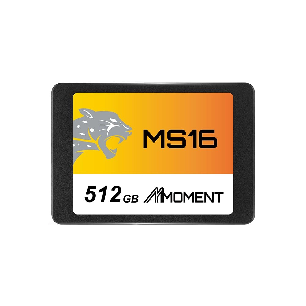 Moment Semiconductor, Inc MS16 - 512GB 2.5"