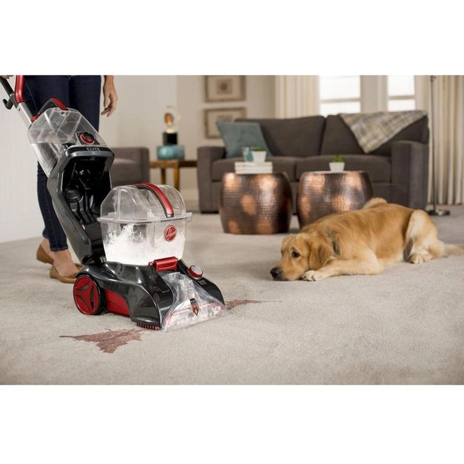 PowerScrub XL - Upright Shampooer 1200 watts