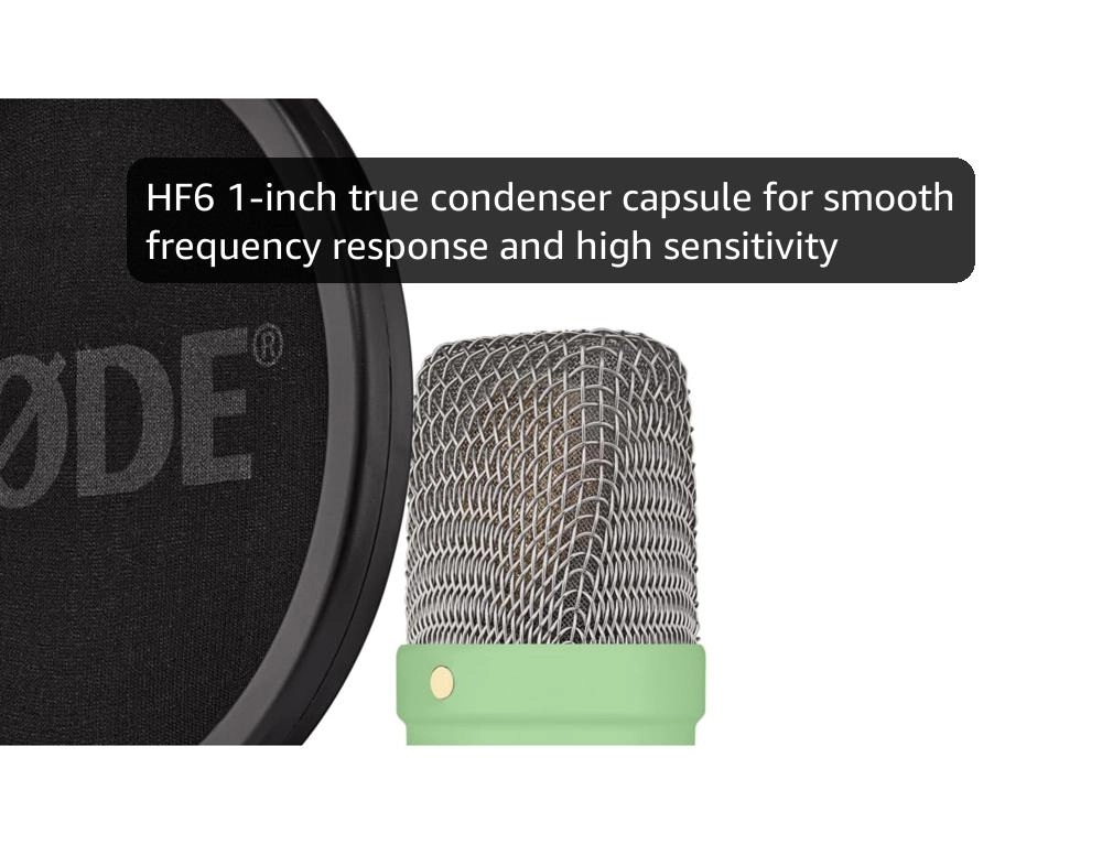 NT1 Signature Series XLR Microphone