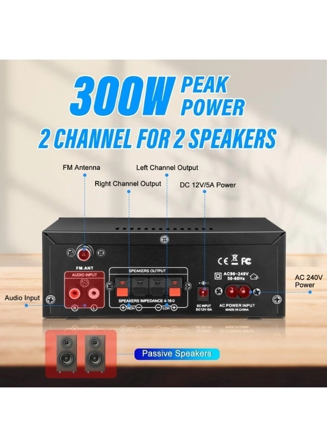 AK45pro - 2 Channel 300W