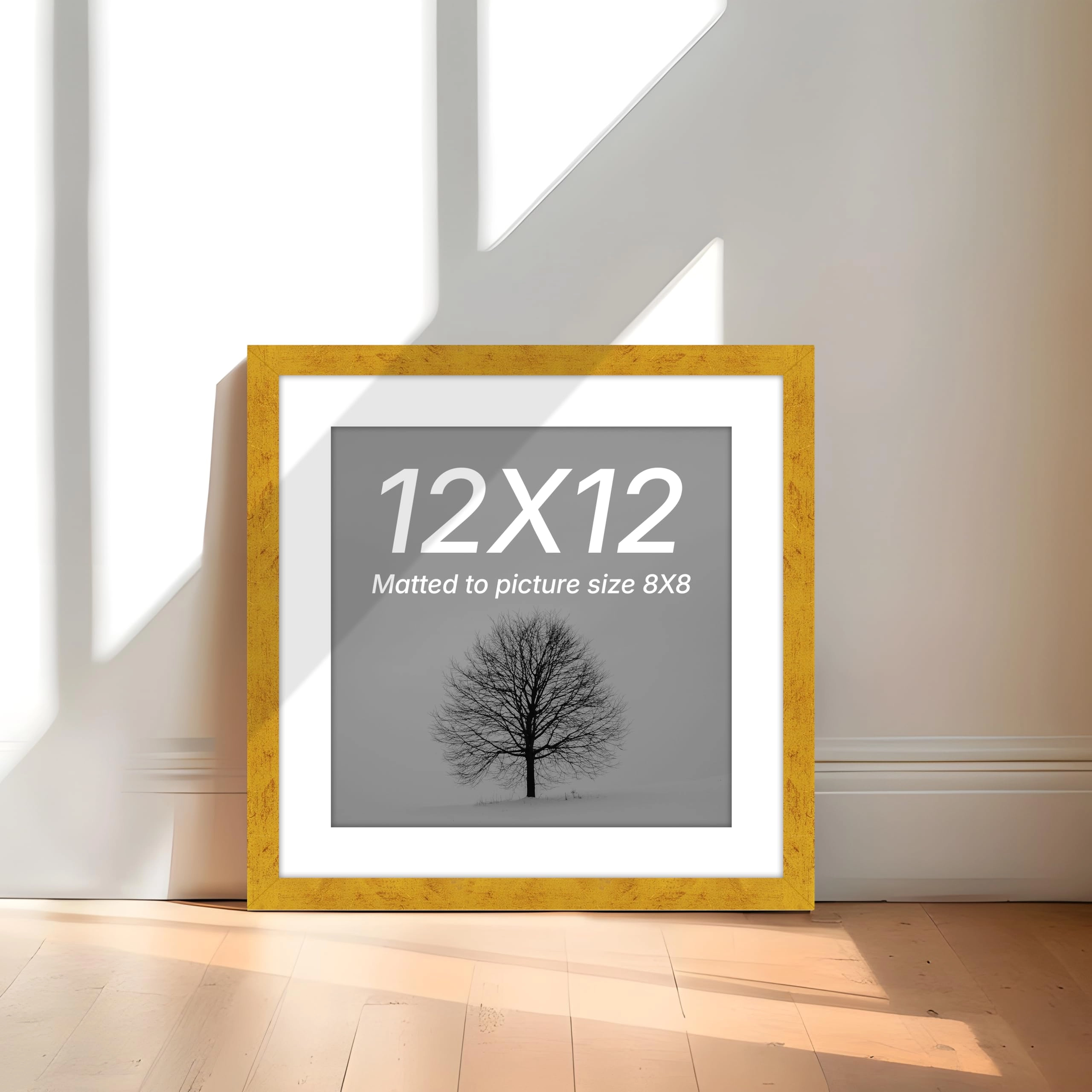 Document Frame - 12x12 Inch