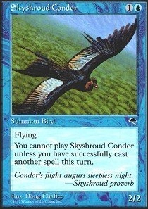 Wizards of the Coast Skyshroud Condor - Tempest