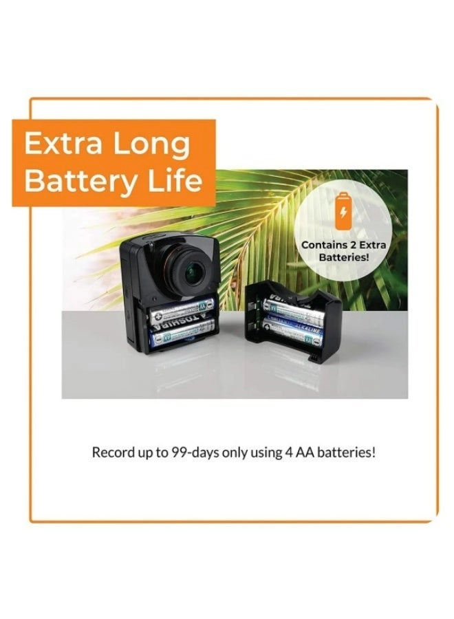 TLC2020 + ATH1000 + AWM1000