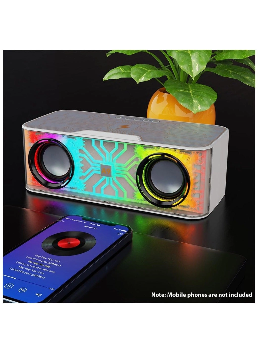 Karaoke Set - 2 Microphones 15W