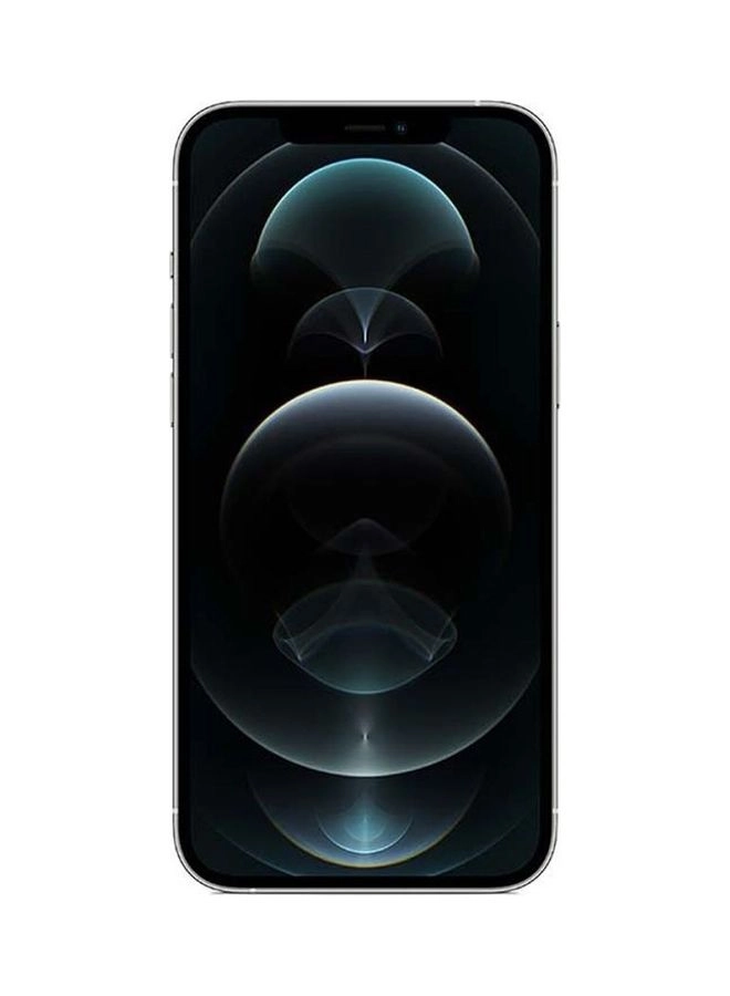 iPhone 12 Pro Max - 256GB