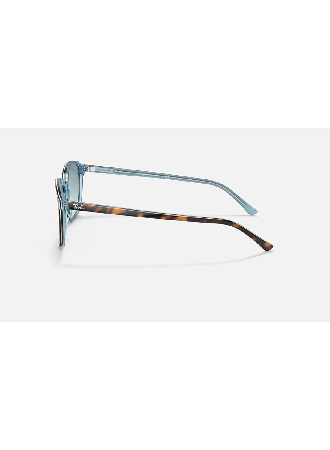 0RB2193 - 53 mm Gradient Grey Havana/Pink/Blue/Grey Gradient