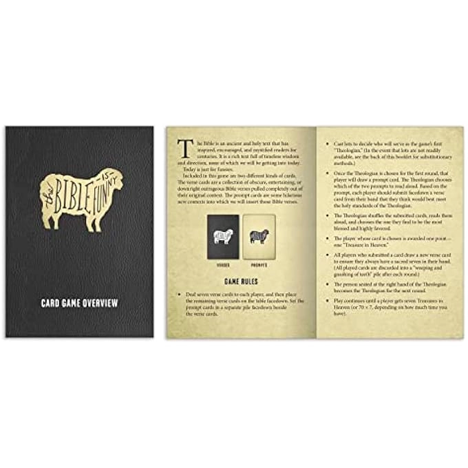 The Bible Is Funny Card Game - English Ages 8 and up