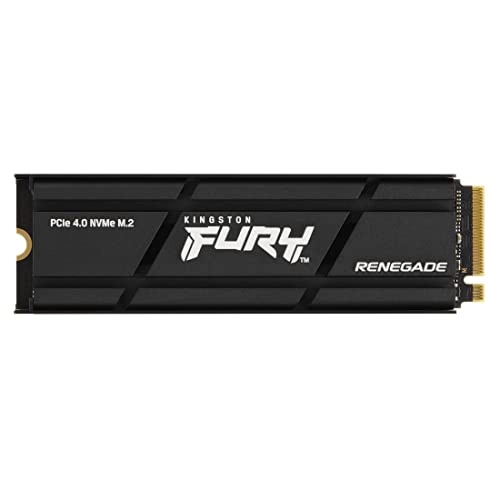 FURY RENEGADE - 500 GB M.2 2280