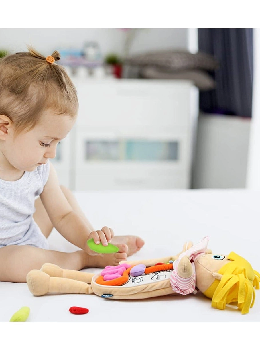 Human Body Anatomy Toy - 1 piece(s)