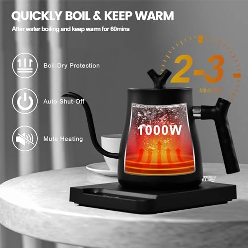 Gooseneck Electric Kettle