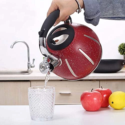 Stovetop Induction Whistling Kettle - 5L