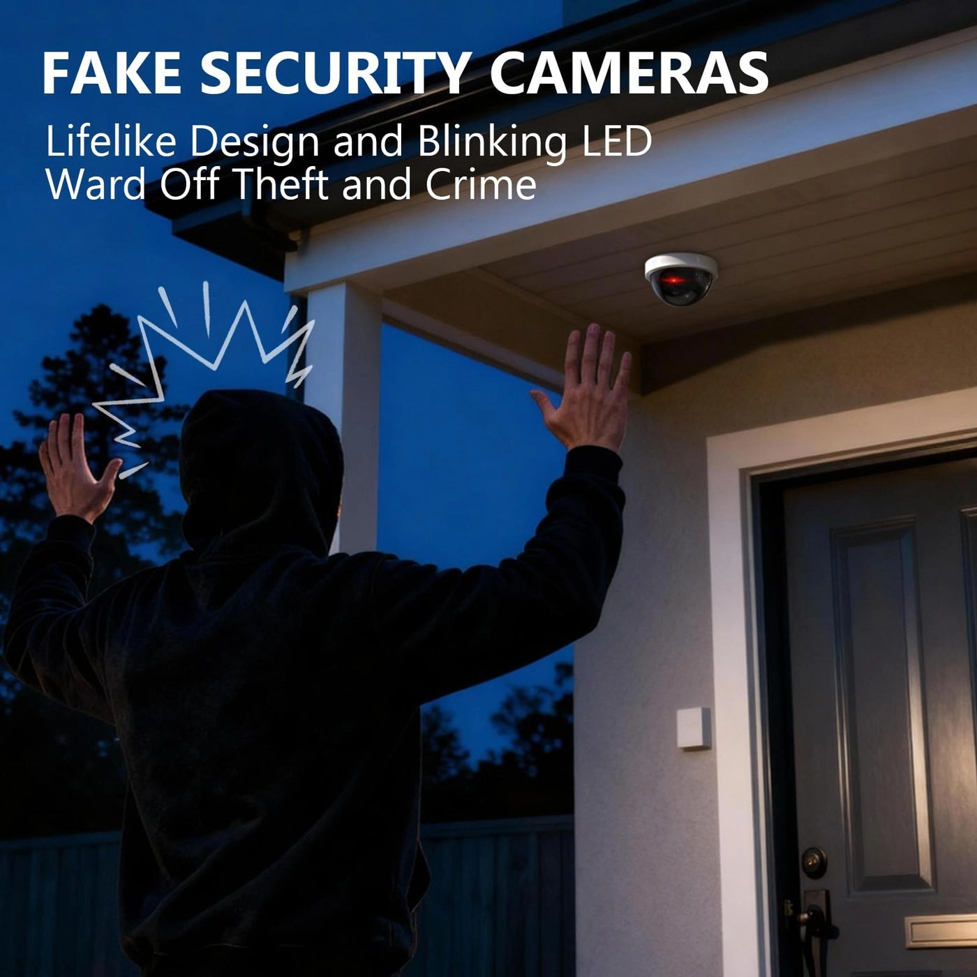 Dome Simulation Camera - indoor and outdoor Pack