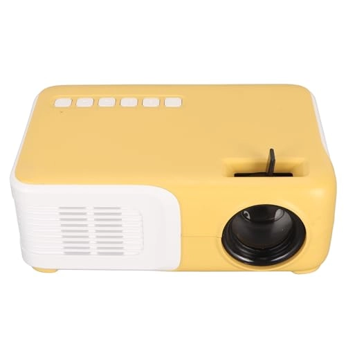 Mini Projector - 25-30 ANSI Lum 480x360P