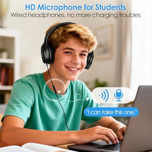 BH137AB Wired Headphone