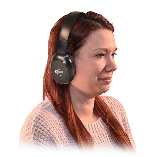 BH-202 Wireless Headset