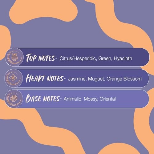 Romance Eau de Parfum 100 ml Pack