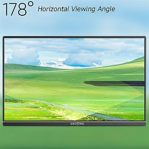 Portable Monitor - FHD 17.3-inch