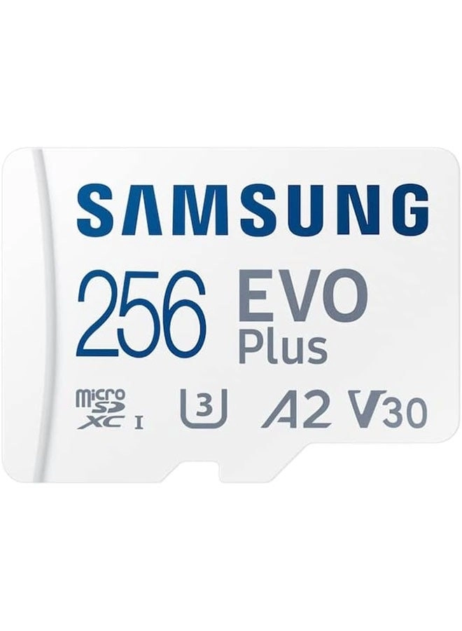 Samsung EVO Select - 256GB