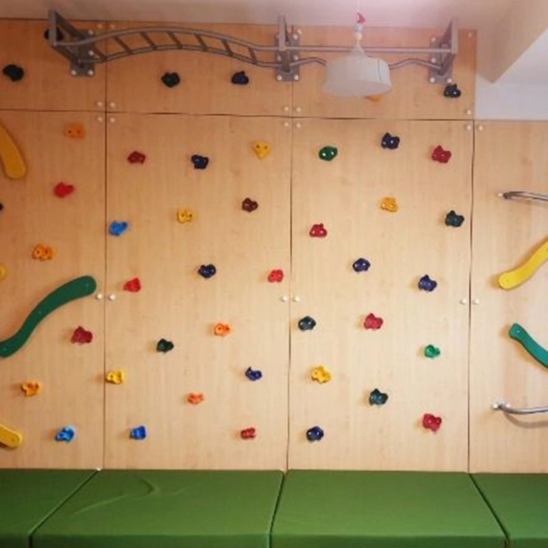 Climbing Wall - Monkey Bars Fireman Pole 560 x 50 x 300 cm