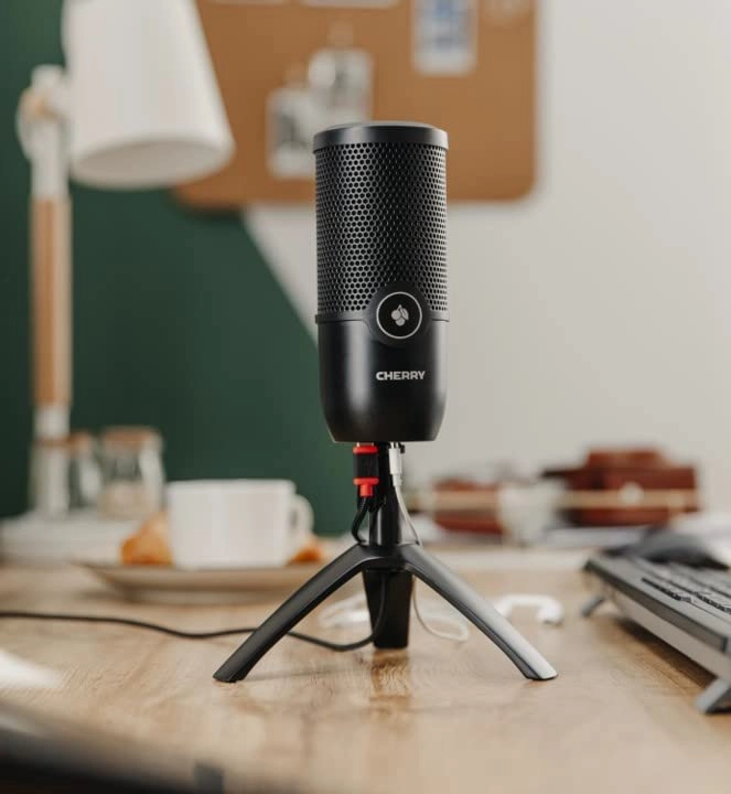 UM 3.0 USB Microphone