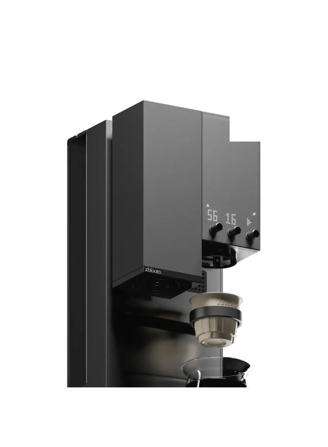 Studio - Grinder Brewer Scale