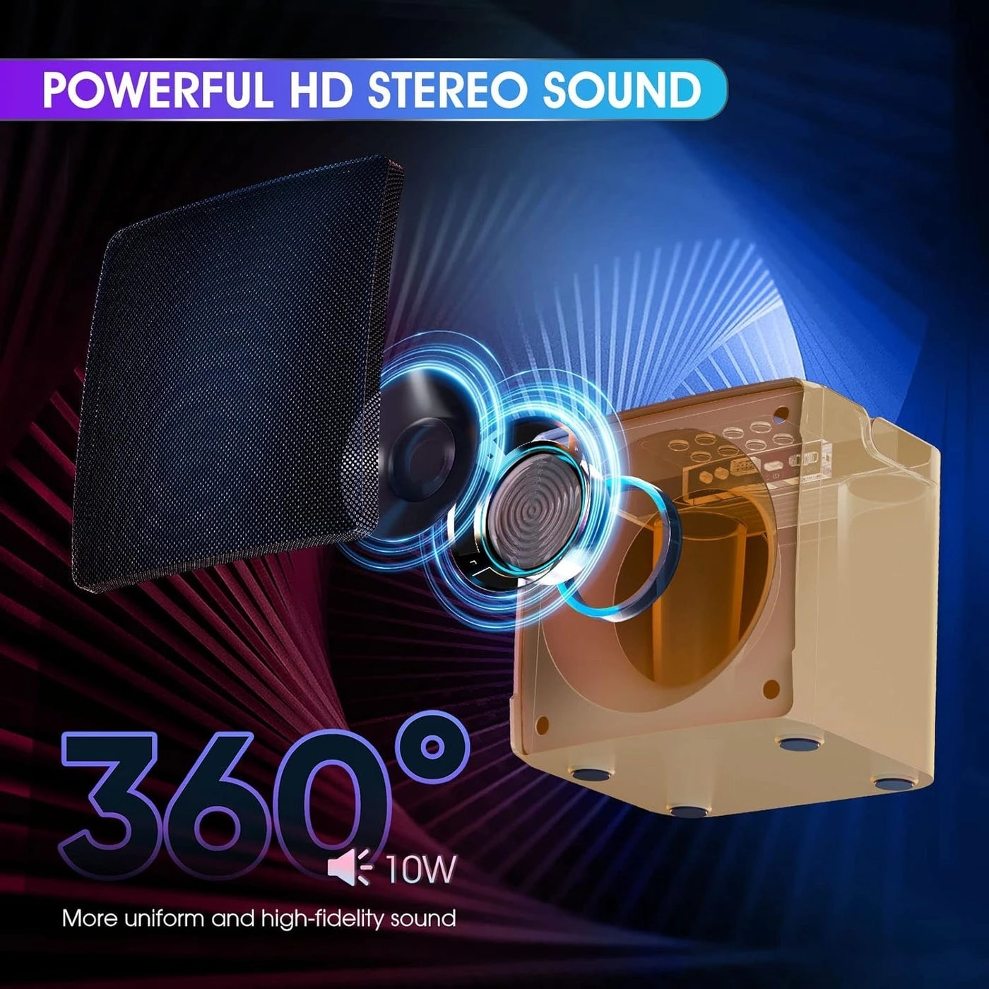 Wireless Karaoke Machine - two wireless microphones