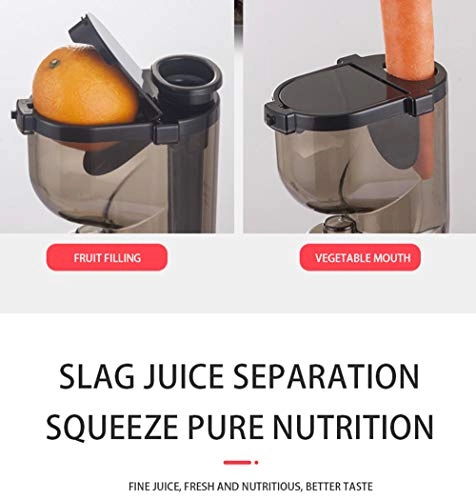 Portable Vertical Cold-Pressed Juicer
