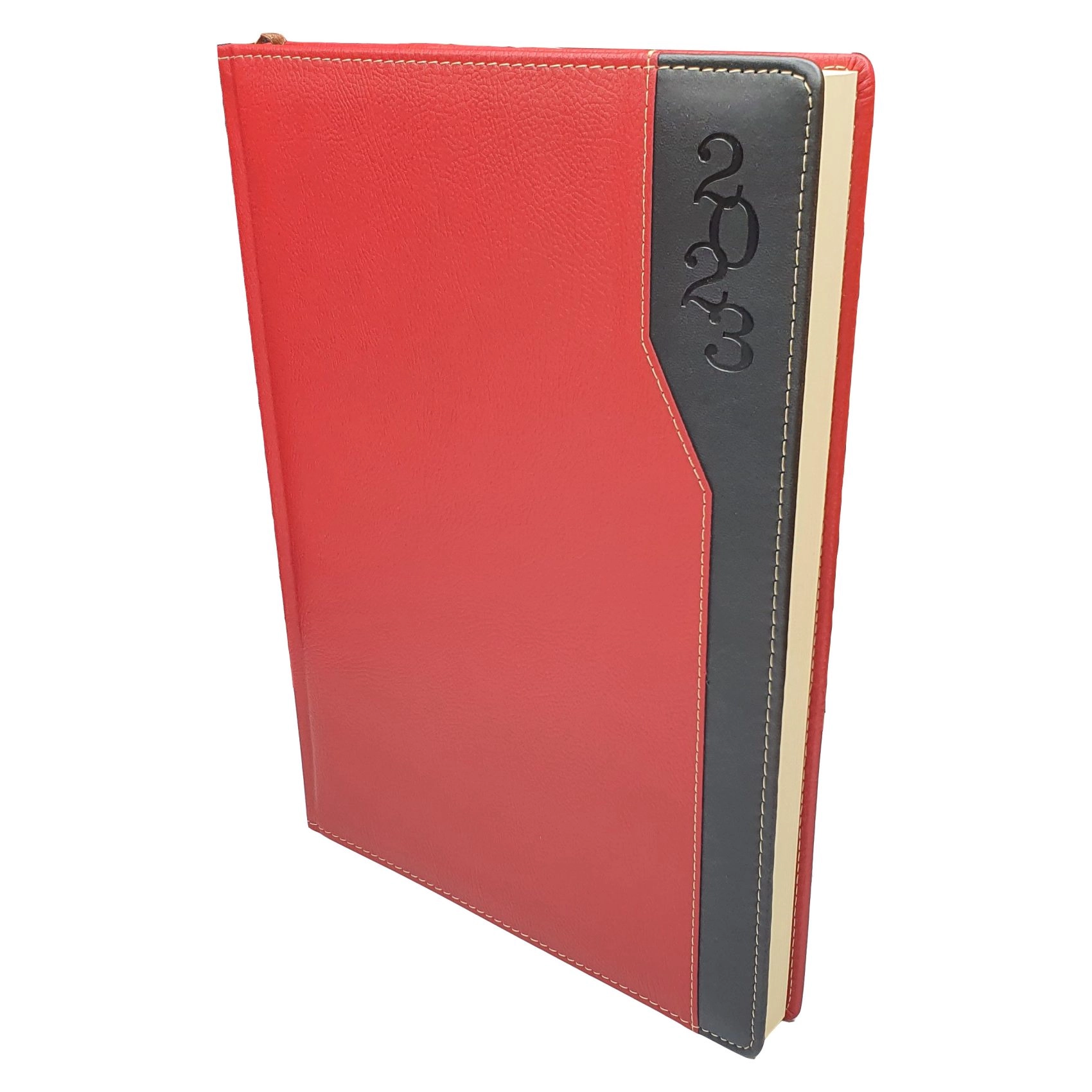 EXTREME Diary - Softcover