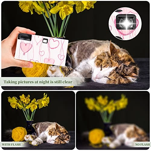 Disposable Cameras - 16 Pack 34mm