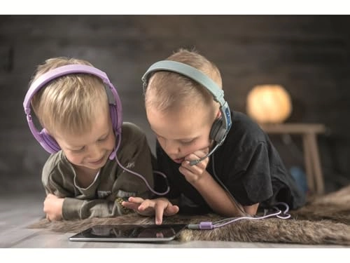 Galaxy Wired Headphone