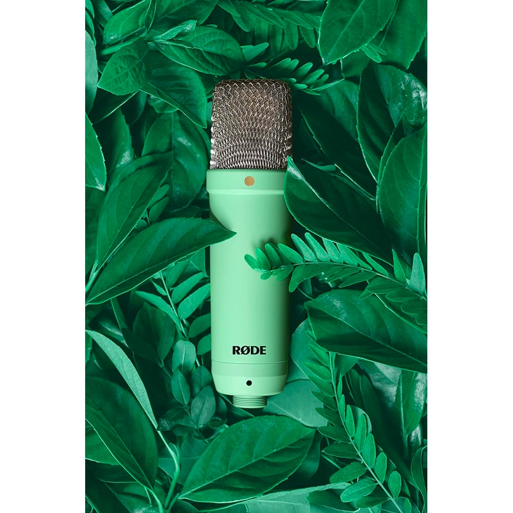 NT1 Signature Series XLR Microphone